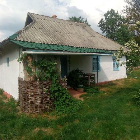 Дибинецькі Карпати Dybintsy ภายนอก รูปภาพ