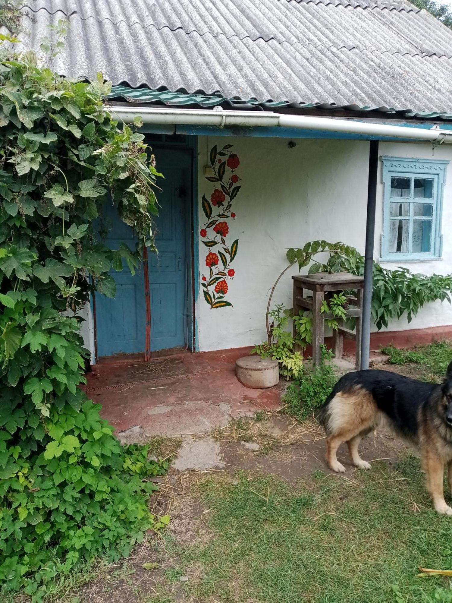 Дибинецькі Карпати Dybintsy ภายนอก รูปภาพ